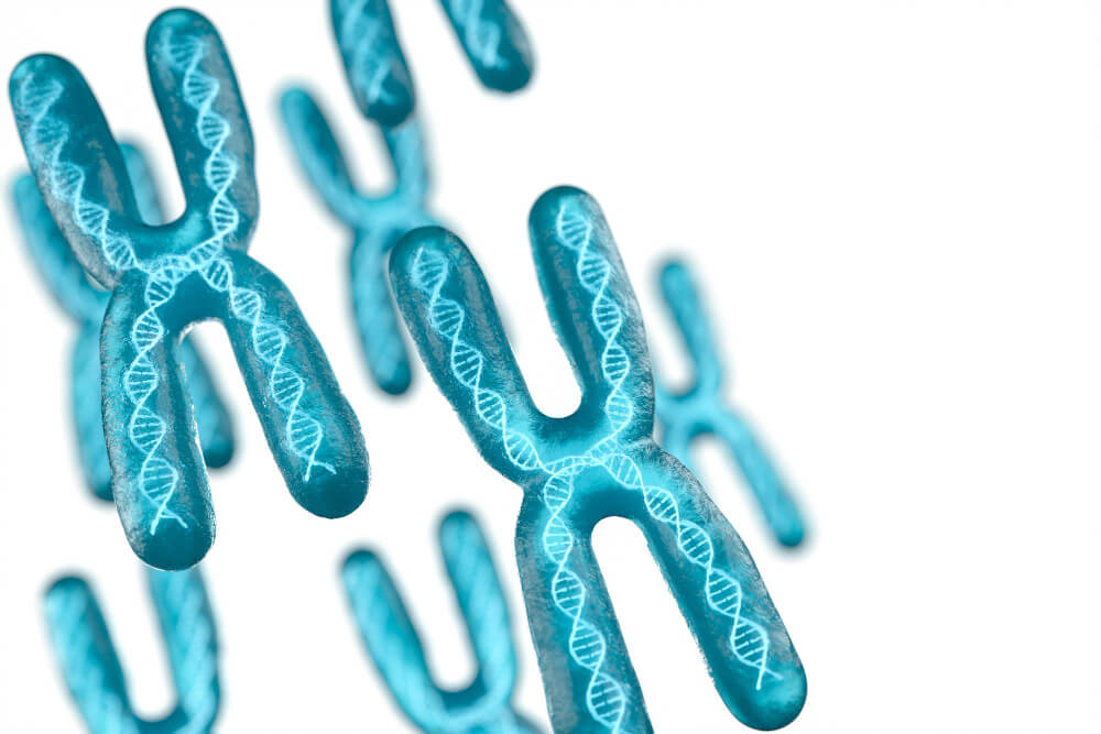 Chromosome With White Background 3d Rendering (1)