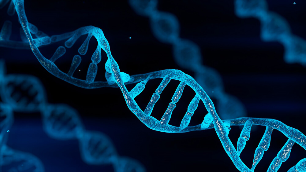 Dna Chromosome (1)