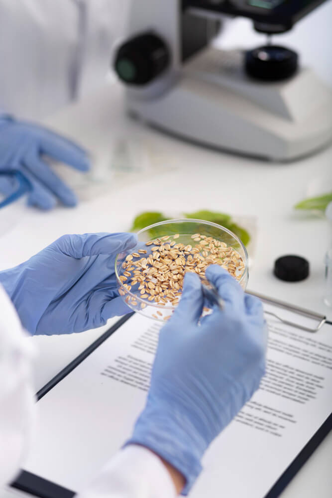 Scientist Holding Petri Dish Tweezers (1)